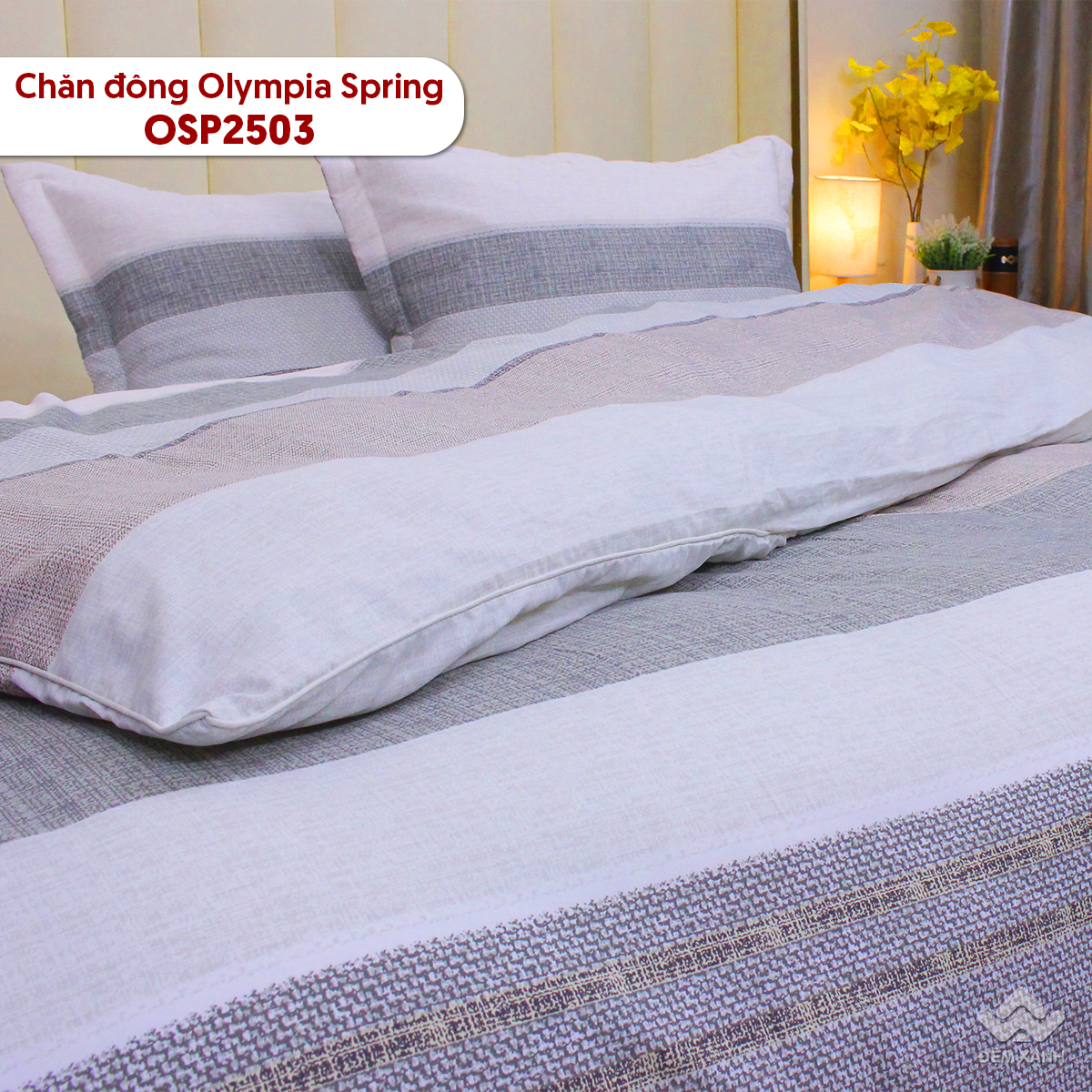 10009_ch__n_____ng_spring_osp2503__3_