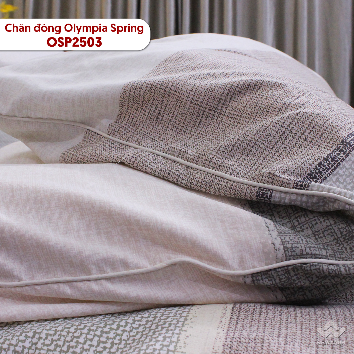 10009_ch__n_____ng_spring_osp2503__5_