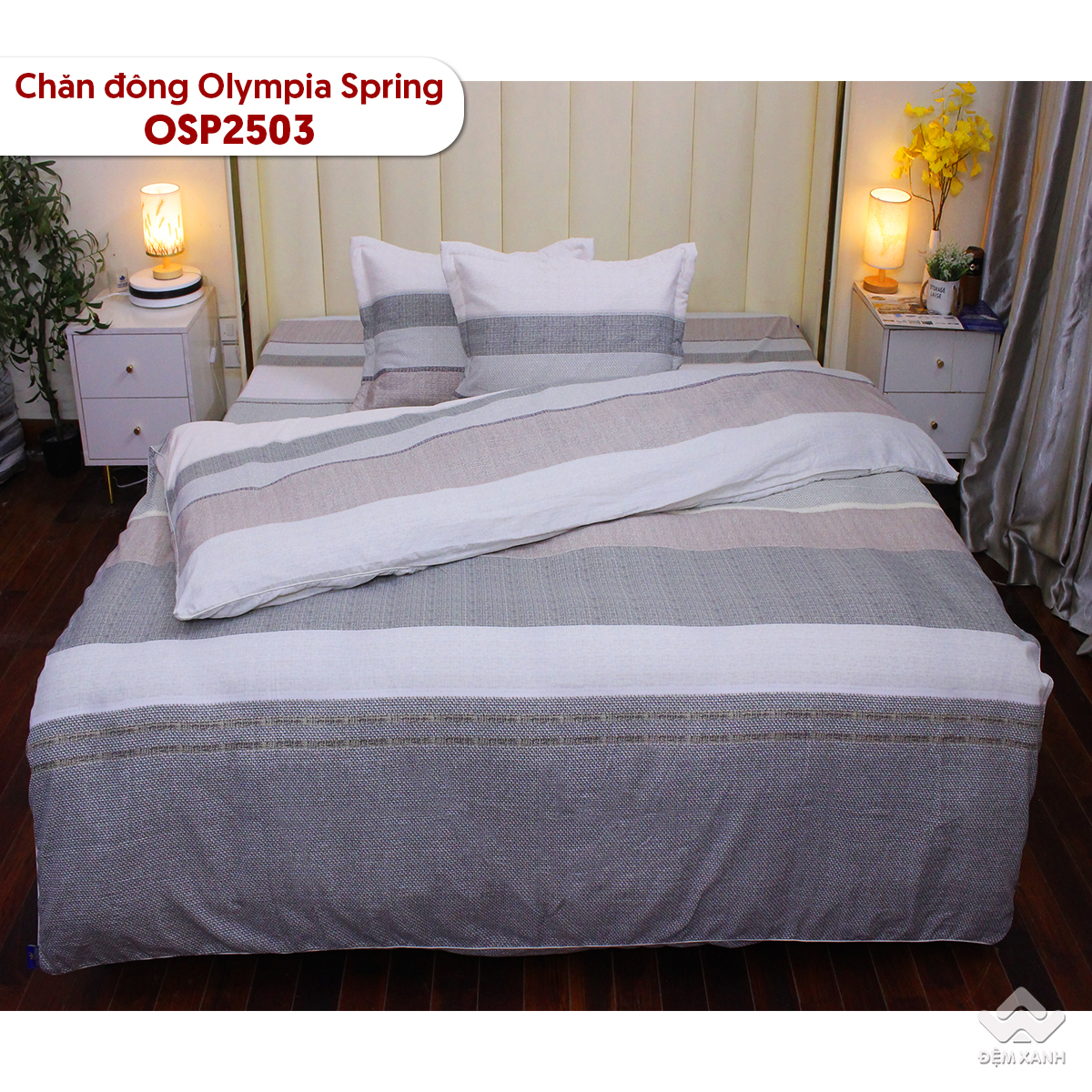 10009_ch__n_____ng_spring_osp2503__7_