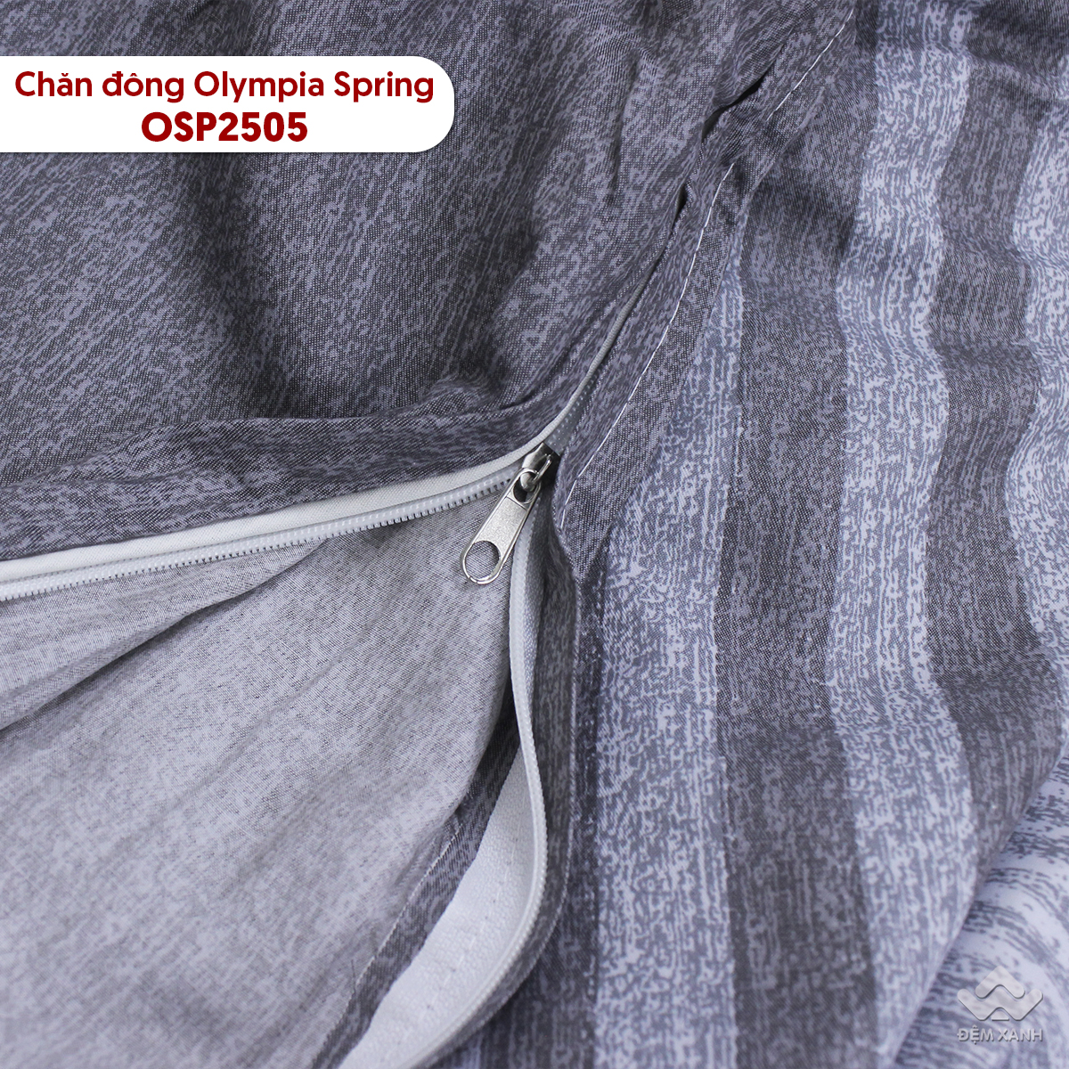 10011_ch__n_____ng_osp2505__3_