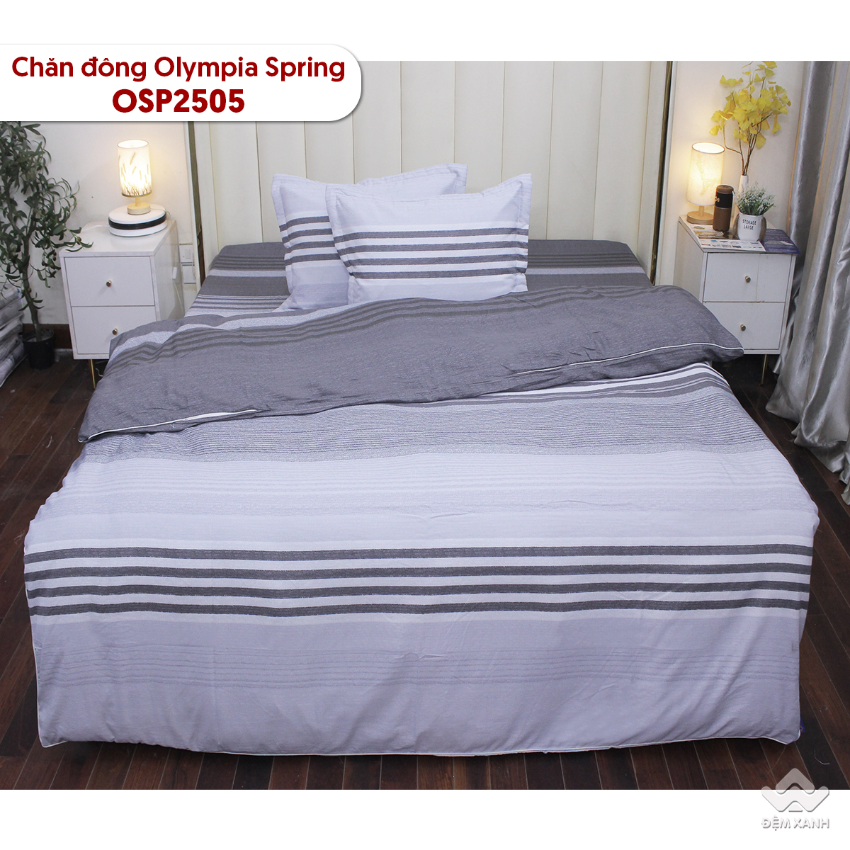 10011_ch__n_____ng_osp2505__8_