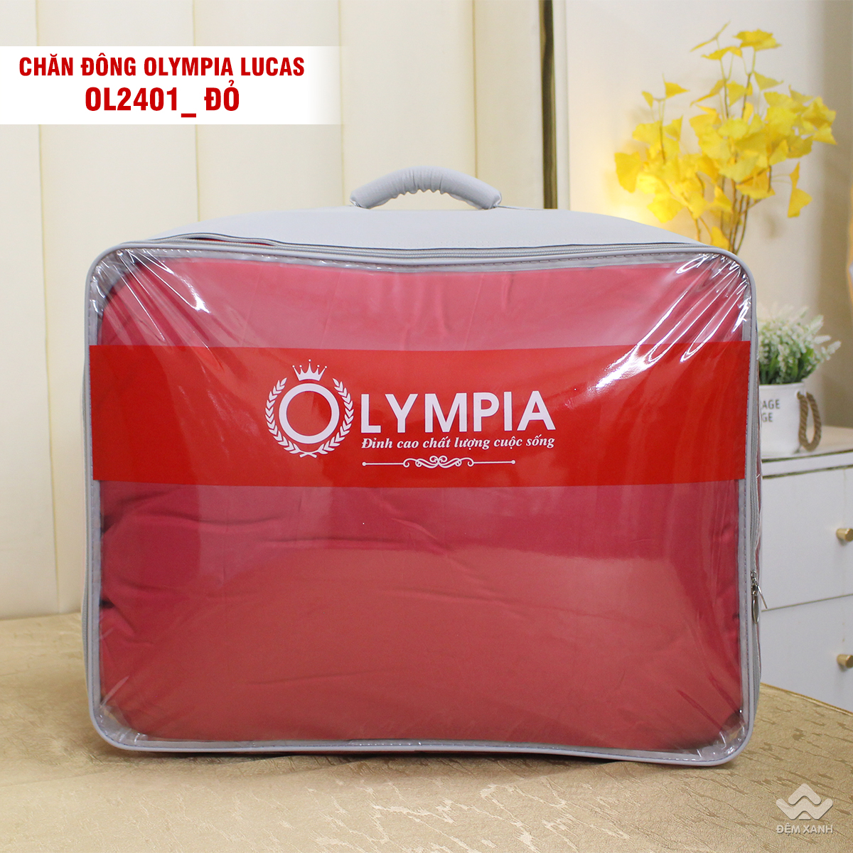 9999_chan_dong_olympia_lucas_ol2401__3_