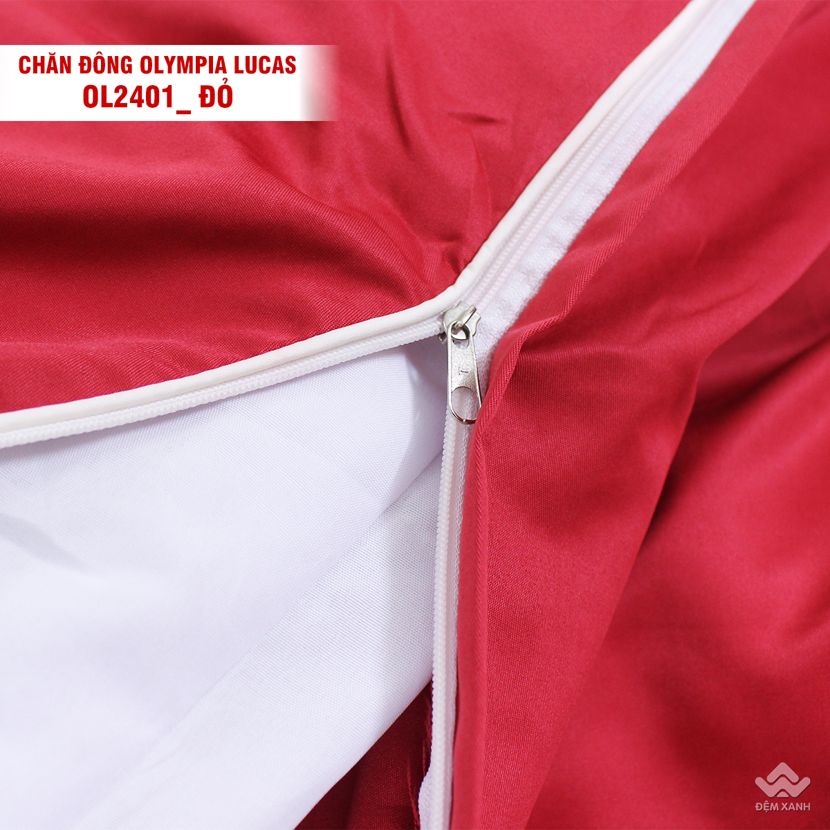 9999_chan_dong_olympia_lucas_ol2401__5_